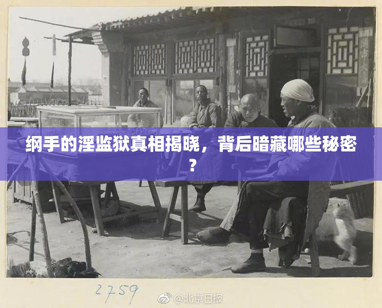 纲手的淫监狱真相揭晓，背后暗藏哪些秘密？