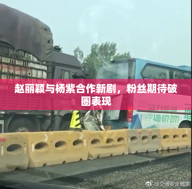 赵丽颖与杨紫合作新剧，粉丝期待破圈表现