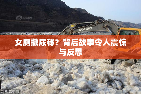女厕撒尿秘？背后故事令人震惊与反思
