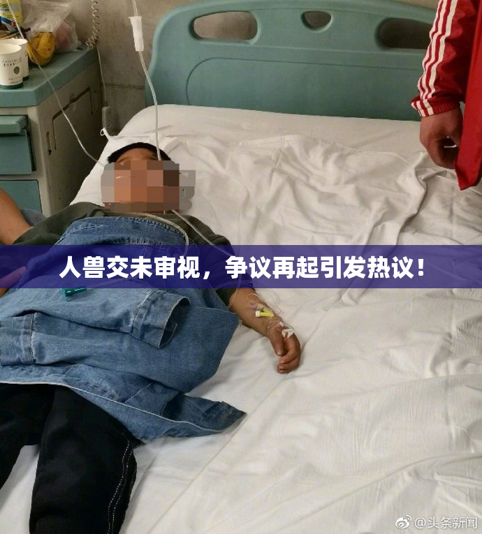 人兽交未审视，争议再起引发热议！