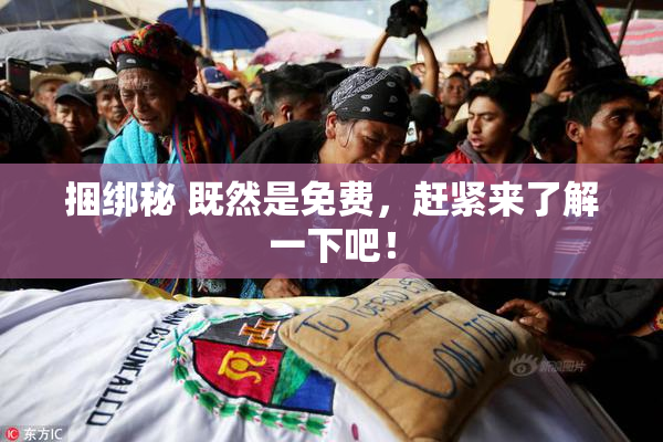 捆绑秘 既然是免费，赶紧来了解一下吧！