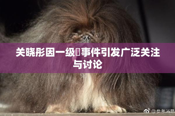 关晓彤因一级婬事件引发广泛关注与讨论