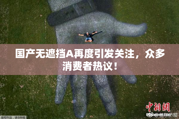 国产无遮挡A再度引发关注，众多消费者热议！