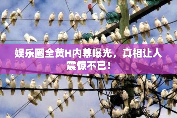 娱乐圈全黄H内幕曝光，真相让人震惊不已！