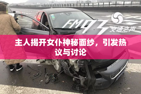 主人揭开女仆神秘面纱，引发热议与讨论