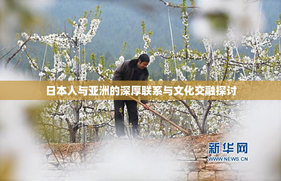 日本人与亚洲的深厚联系与文化交融探讨