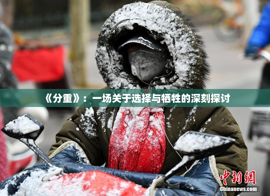 《分重》：一场关于选择与牺牲的深刻探讨