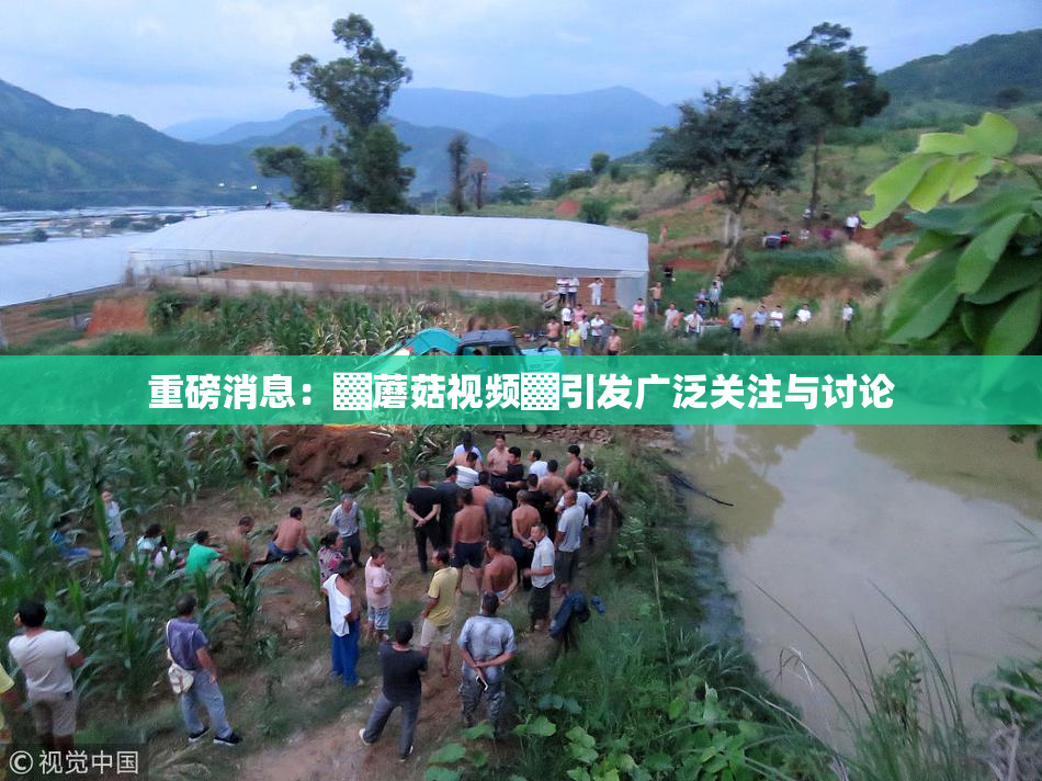重磅消息：▓蘑菇视频▓引发广泛关注与讨论