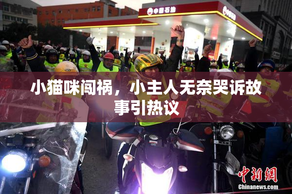 小猫咪闯祸，小主人无奈哭诉故事引热议