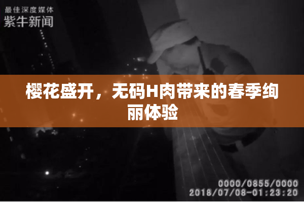 樱花盛开，无码H肉带来的春季绚丽体验