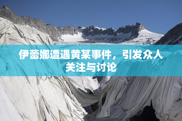 伊蕾娜遭遇黄某事件，引发众人关注与讨论