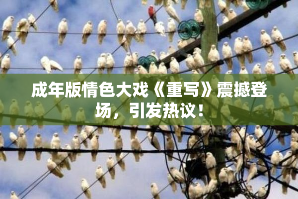 成年版情色大戏《重写》震撼登场，引发热议！