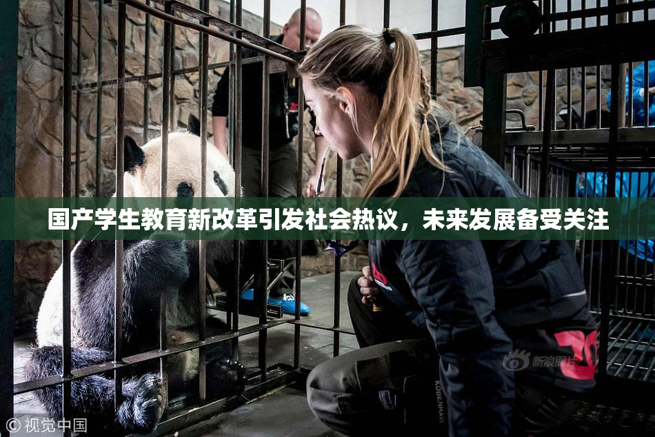 国产学生教育新改革引发社会热议，未来发展备受关注
