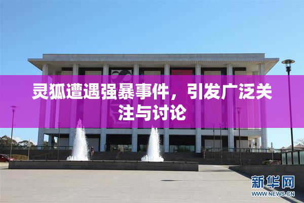 灵狐遭遇强暴事件，引发广泛关注与讨论