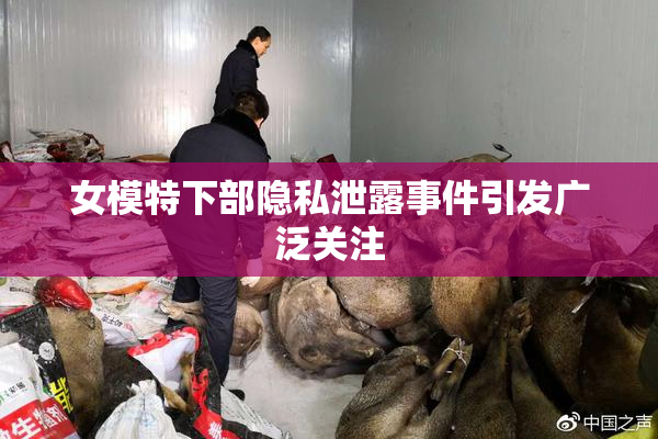 女模特下部隐私泄露事件引发广泛关注