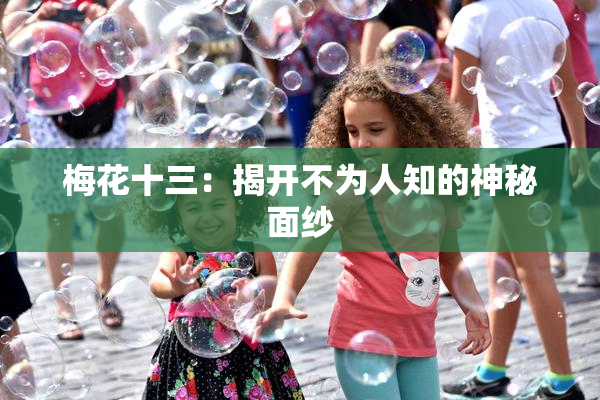梅花十三：揭开不为人知的神秘面纱
