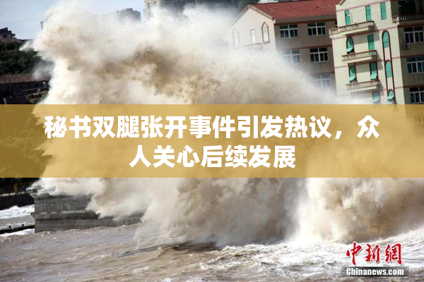 秘书双腿张开事件引发热议，众人关心后续发展