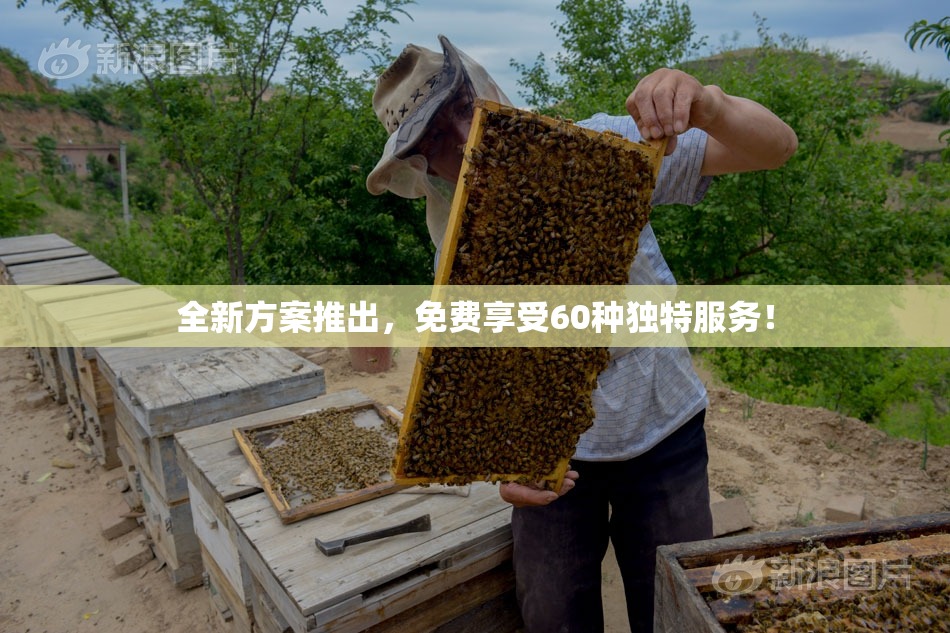 全新方案推出，免费享受60种独特服务！