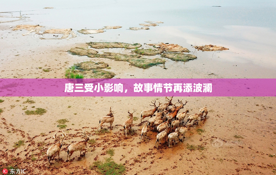 唐三受小影响，故事情节再添波澜