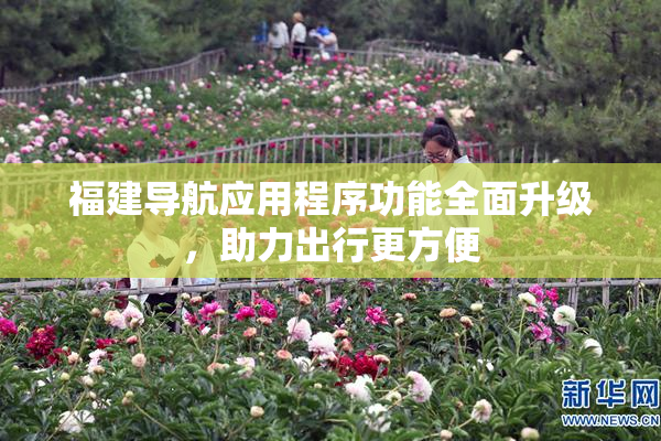 福建导航应用程序功能全面升级，助力出行更方便