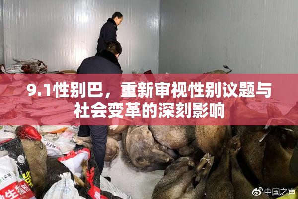 9.1性别巴，重新审视性别议题与社会变革的深刻影响