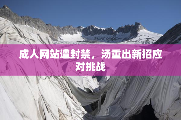 成人网站遭封禁，汤重出新招应对挑战