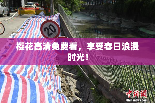 樱花高清免费看，享受春日浪漫时光！