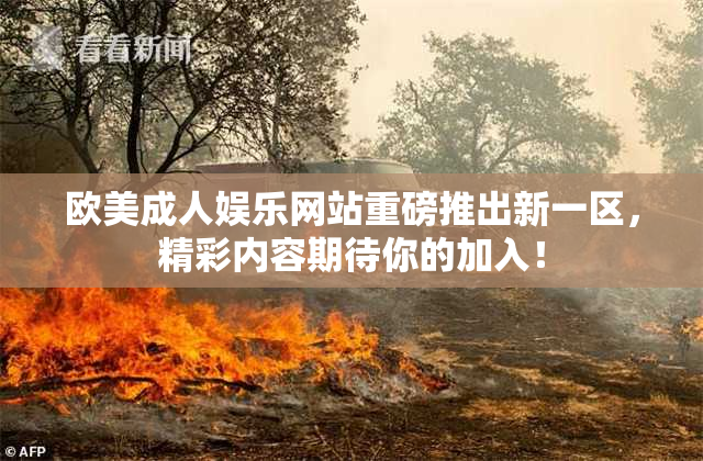 欧美成人娱乐网站重磅推出新一区，精彩内容期待你的加入！