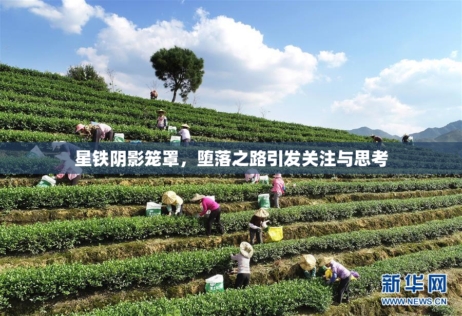 星铁阴影笼罩，堕落之路引发关注与思考