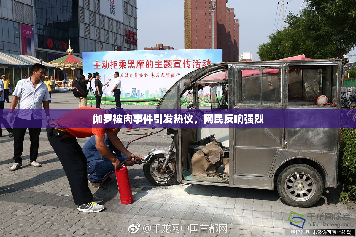 伽罗被肉事件引发热议，网民反响强烈