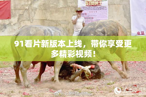 91看片新版本上线，带你享受更多精彩视频！
