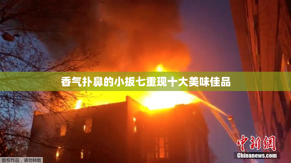 香气扑鼻的小扳七重现十大美味佳品