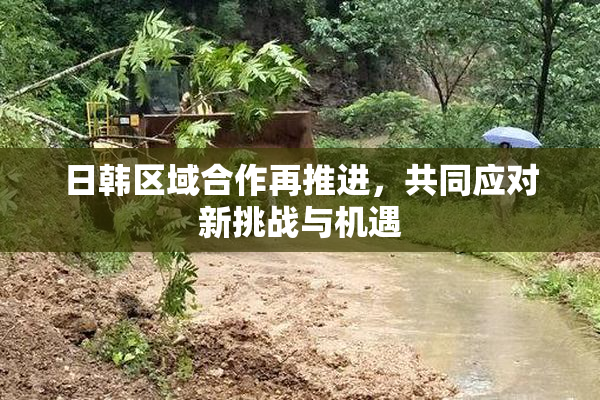 日韩区域合作再推进，共同应对新挑战与机遇