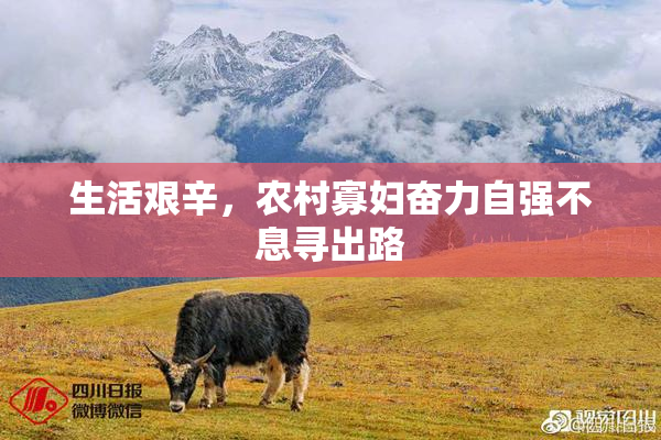 生活艰辛，农村寡妇奋力自强不息寻出路