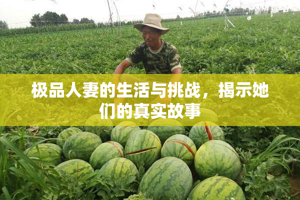 极品人妻的生活与挑战，揭示她们的真实故事