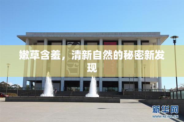 嫩草含羞，清新自然的秘密新发现