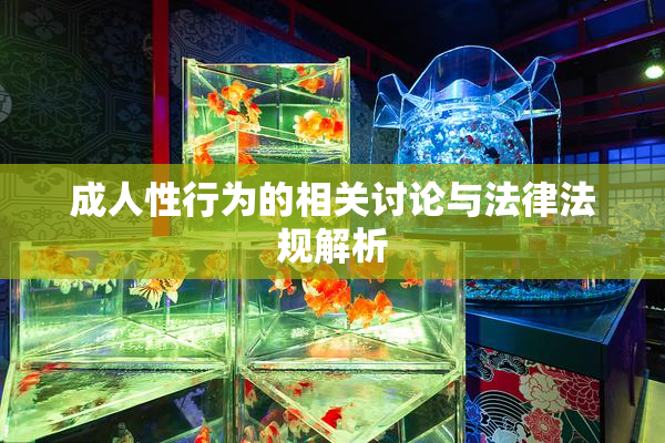 成人性行为的相关讨论与法律法规解析