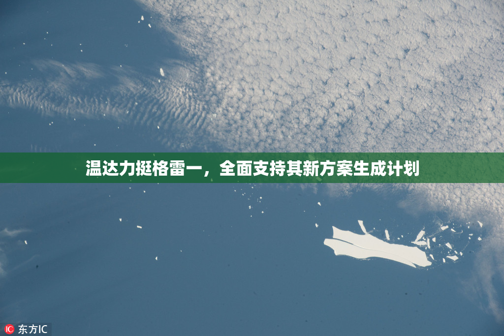 温达力挺格雷一，全面支持其新方案生成计划