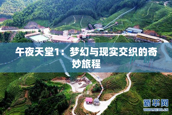 午夜天堂1：梦幻与现实交织的奇妙旅程