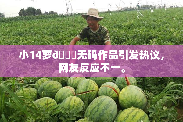 小14萝🔞无码作品引发热议，网友反应不一。