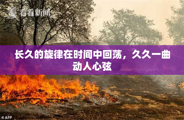 长久的旋律在时间中回荡，久久一曲动人心弦