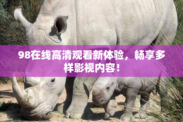 98在线高清观看新体验，畅享多样影视内容！