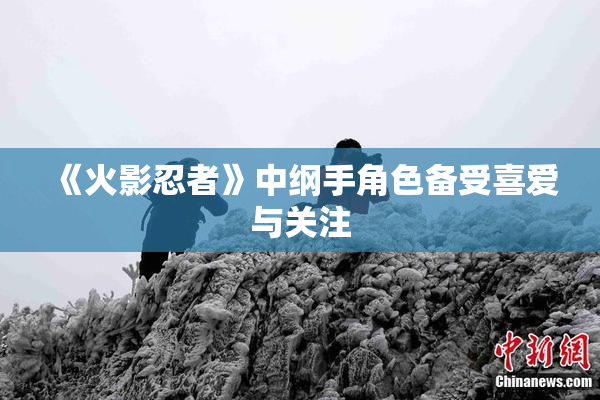 《火影忍者》中纲手角色备受喜爱与关注