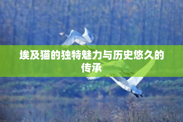 埃及猫的独特魅力与历史悠久的传承