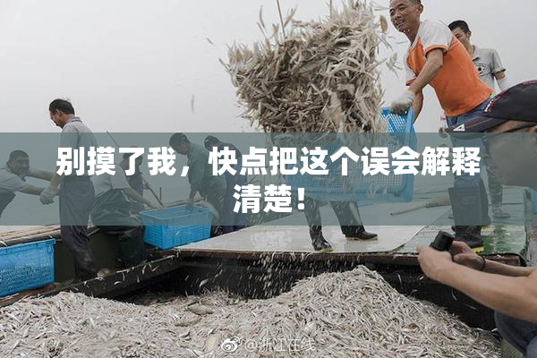 别摸了我，快点把这个误会解释清楚！