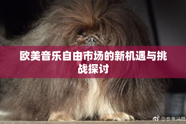 欧美音乐自由市场的新机遇与挑战探讨