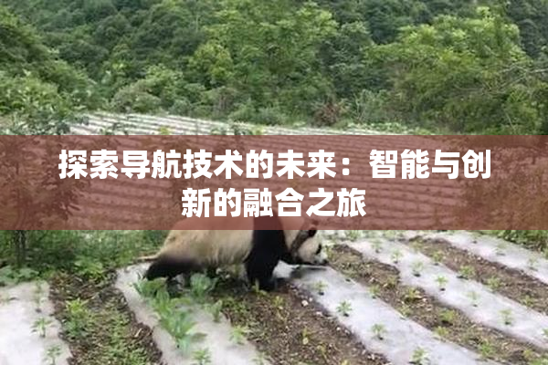 探索导航技术的未来：智能与创新的融合之旅