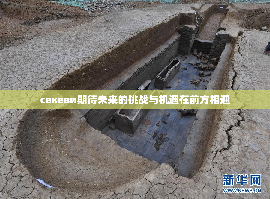 ceкеви期待未来的挑战与机遇在前方相迎