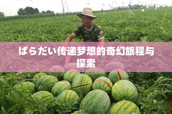 ぱらだい传递梦想的奇幻旅程与探索