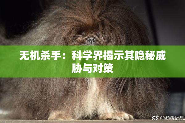 无机杀手：科学界揭示其隐秘威胁与对策